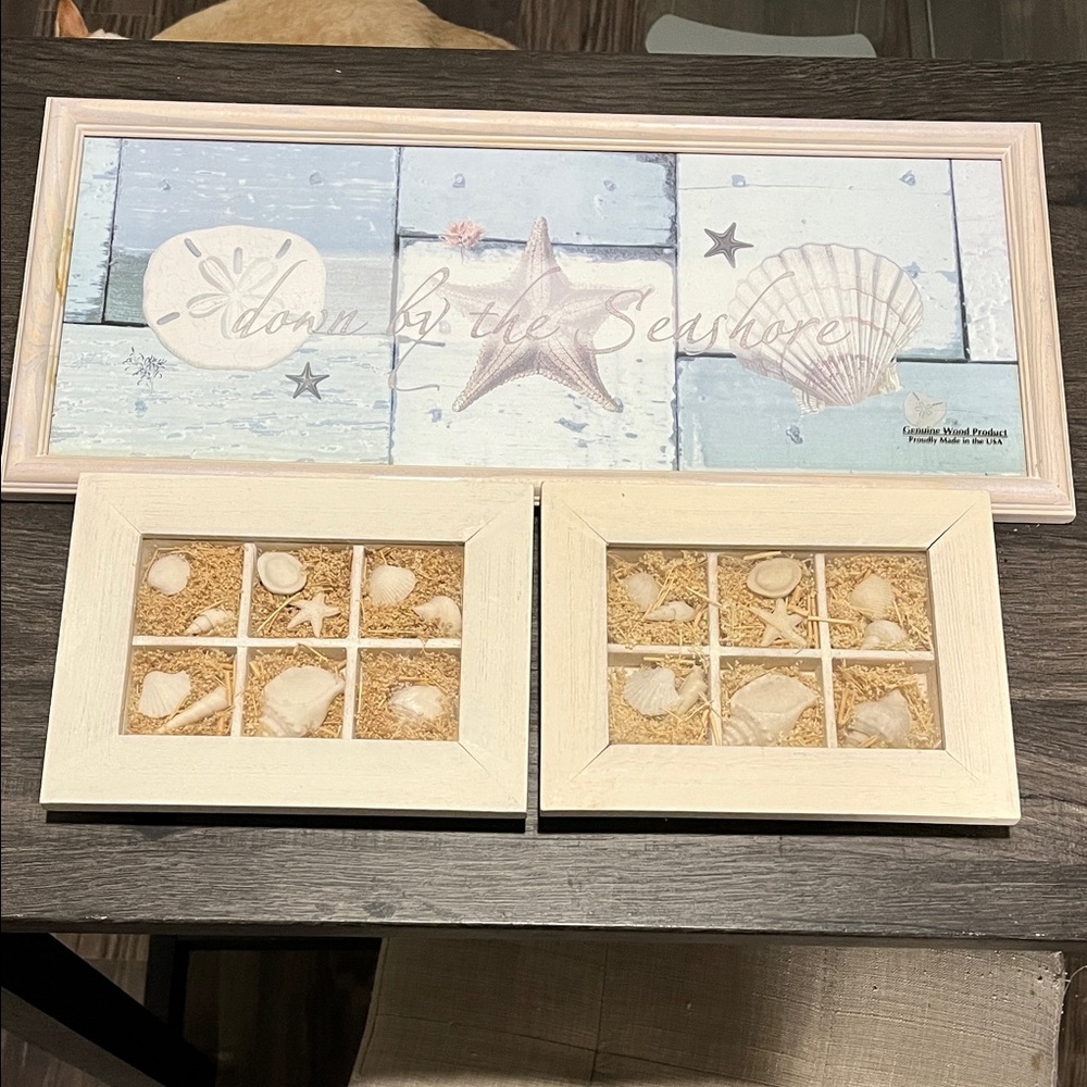 Seashell Wall Art Set in Cream and Blue